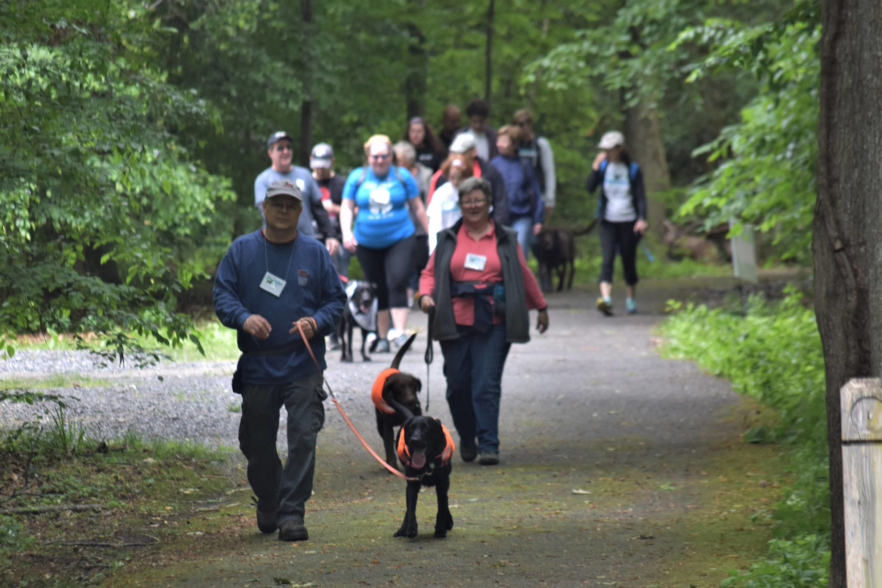 Lab Rescue - 2017 Lab Walk5.jpg